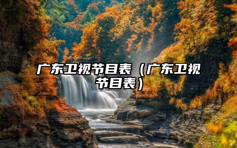 广东卫视节目表（广东卫视节目表）