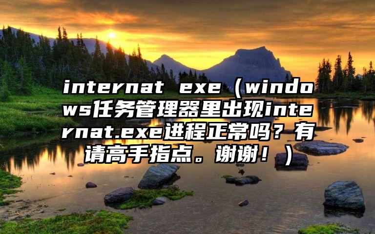 internat exe（windows任务管理器里出现internat.exe进程正常吗？有请高手指点。谢谢！）
