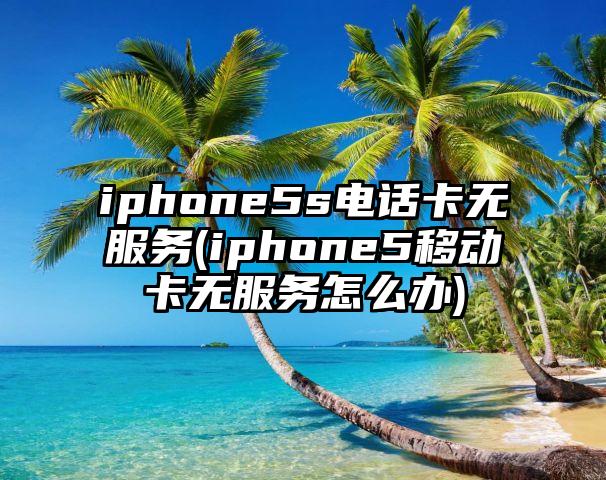 iphone5s电话卡无服务(iphone5移动卡无服务怎么办)