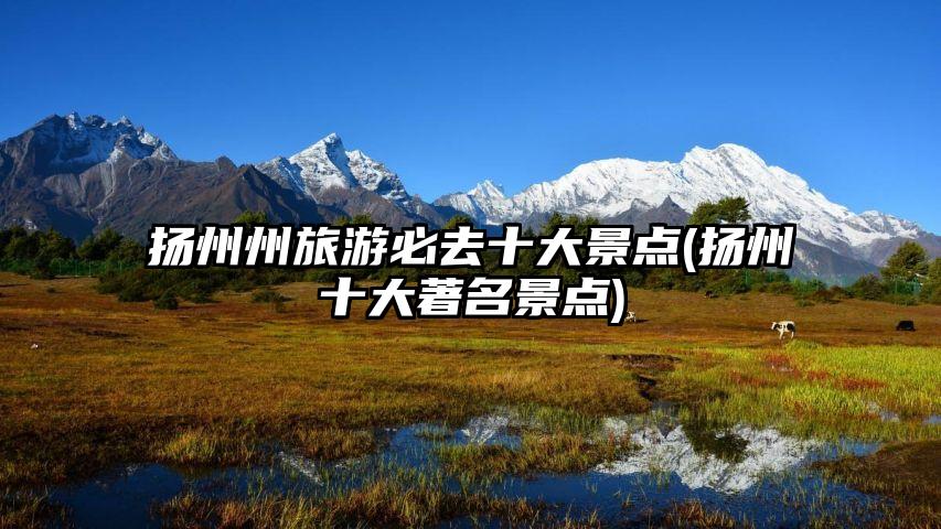 扬州州旅游必去十大景点(扬州十大著名景点)