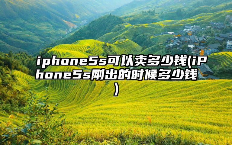 iphone5s可以卖多少钱(iPhone5s刚出的时候多少钱)