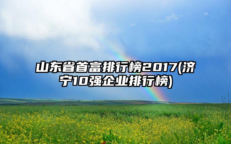 山东省首富排行榜2017(济宁10强企业排行榜)
