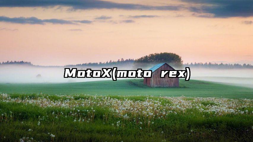 MotoX(moto rex)