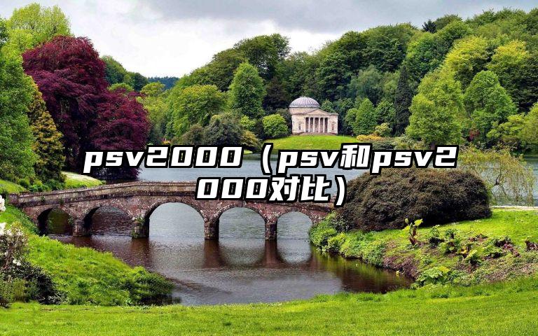 psv2000（psv和psv2000对比）