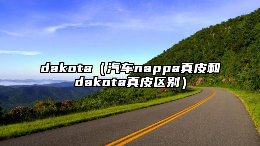 dakota（汽车nappa真皮和dakota真皮区别）