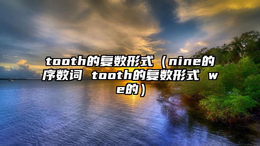 tooth的复数形式（nine的序数词 tooth的复数形式 we的）