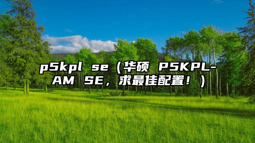 p5kpl se（华硕 P5KPL-AM SE，求最佳配置！）