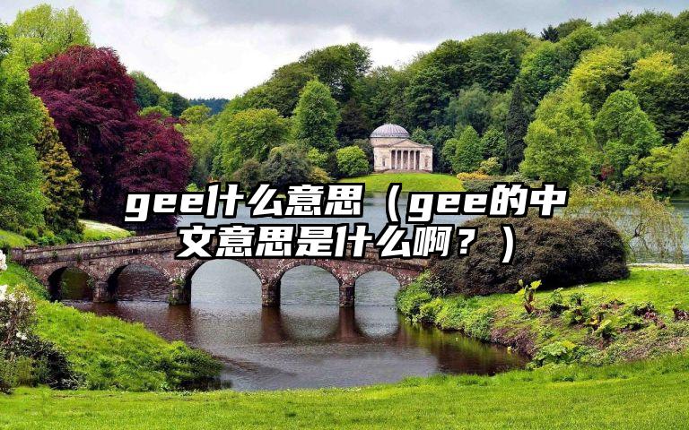 gee什么意思（gee的中文意思是什么啊？）